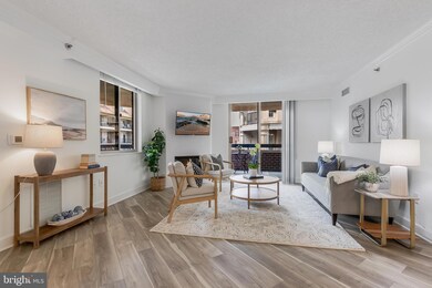 The Williamsburg unit 300, Arlington, VA 22201 - photo 5