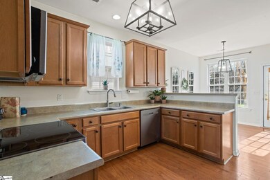 8 Crevasse Ln, Greenville, SC 29617 - photo 6