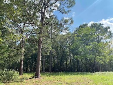 00DA8204-87D2-4B74-ACA9-DB1DD133A597