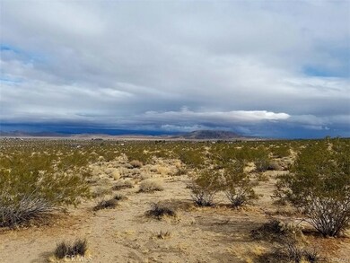 0 Hollinger Rd unit EV19220342, Joshua Tree, CA 92252 - photo 3