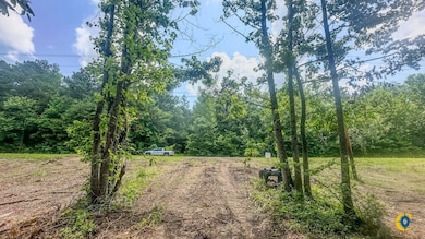 0 Birdsong Rd, Camden, TN 38320 - photo 7