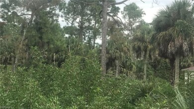 1170 17th St SW, Naples, FL 34117 - photo 2