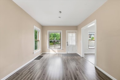 16 Ivy St, Joliet, IL 60436 - photo 3