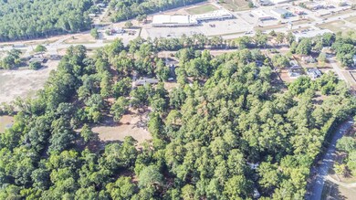 17702 Rolling Hills Dr, Magnolia, TX 77354 - photo 6