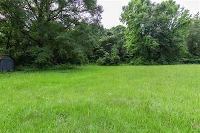 344 Gullatte St, Nash, TX 75569 - photo 5