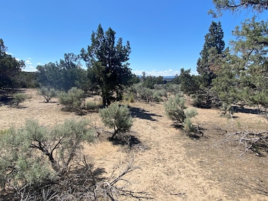 0 SW Brasada Ranch Rd unit Homesite 640, Powell Butte, OR 97753 - photo 5