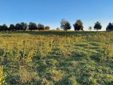 48.5 Acres Owl Hole Gap Rd, Rutledge, TN 37861 - photo 7