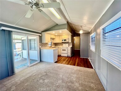 1295 S Cawston Ave unit 263, Hemet, CA 92545 - photo 6