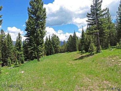 22 B Timberloft Dr, Big Sky, MT 59716 - photo 4
