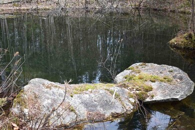 00 Willoughby Lake Rd, West Glover, VT 05822 - photo 2