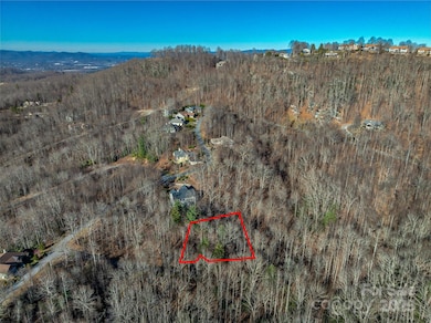 TBD Ladys Fern Trail unit 10, Laurel Park, NC 28739 - photo 5