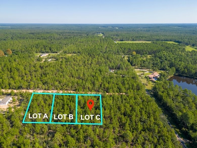 LOT C