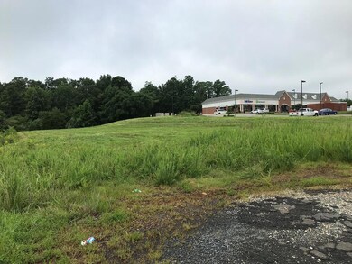 0 Buckingham Centre Dr unit 3 & 4, Dillwyn, VA 23936 - photo 6