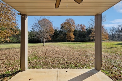 1560 River Rd, Chapel Hill, TN 37034 - photo 6