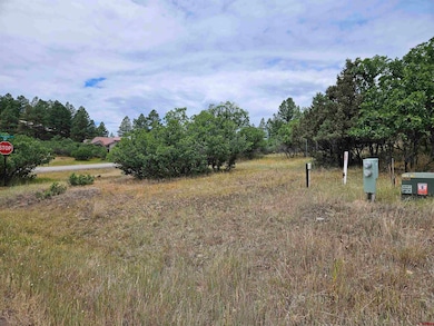 8 Caballero Dr, Pagosa Springs, CO 81147 - photo 6