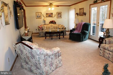 1034 Old Bridge Rd, Amissville, VA 20106 - photo 4