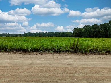 TBD LOT 3 Tansy Rd, Loris, SC 29569 - photo 4