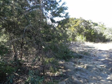 8603 Terra Mont Way, San Antonio, TX 78255 - photo 5