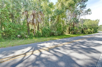 000 N Tallahassee Rd, Crystal River, FL 34428 - photo 2
