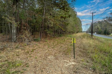 2815 Fm 346, Tyler, TX 75703 - photo 5