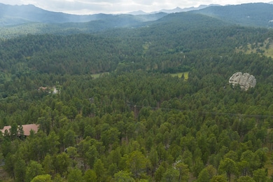 TBD Trackers Trail, Keystone, SD 57751 - photo 4