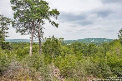 24380 Scenic Loop Rd, San Antonio, TX 78255 - photo 2