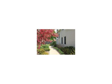 Yard/Garden. Beautiful landscaping in full bloom
