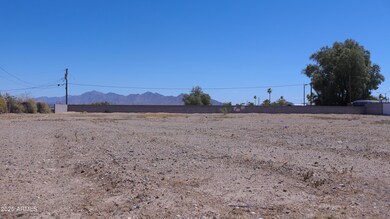 IMG_5407 (1)