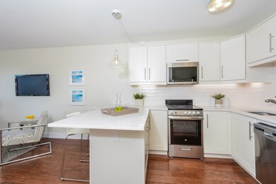 Hammond Park Condominiums unit 603, Chestnut Hill, MA 02467 - photo 2