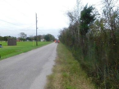 0 Cr 380, Rosharon, TX 77583 - photo 6