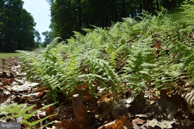 26 Twin Lakes Dr, Berkeley Springs, WV 25411 - photo 6