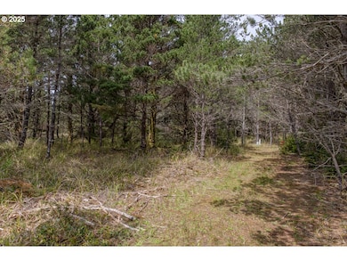 11119 Pacific Way, Long Beach, WA 98631 - photo 7