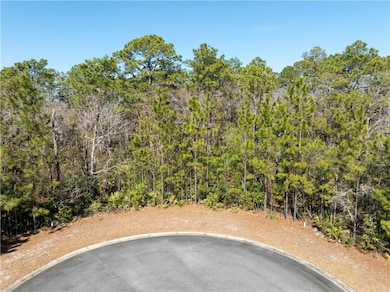 101 Bluebill Trail, Brunswick, GA 31523 - photo 4