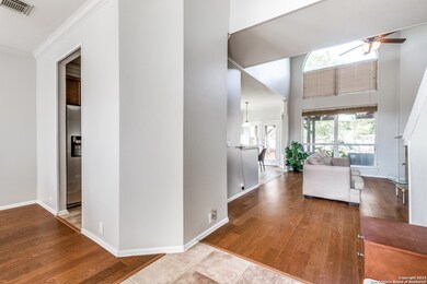 10602 Canyon River, Helotes, TX 78023 - photo 7