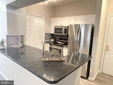 4550 Strutfield Ln unit 2103, Alexandria, VA 22311 - photo 5