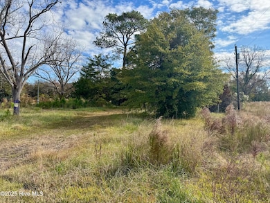 180 Asbury Rd, Cove City, NC 28523 - photo 3