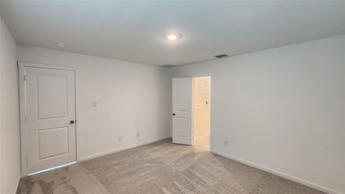 3013 Burmese St, Providence Village, TX 76227 - photo 7