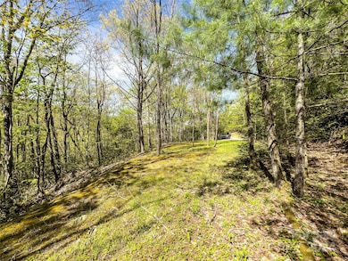 2414 Black Rock Rd unit 72, Cherokee, NC 28719 - photo 3