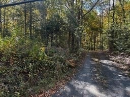 0 Woodland Way, Russell, MA 01071 - photo 7