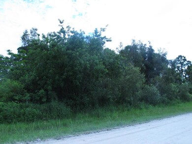 pic3