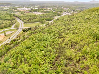 02-95Acre Lot_02