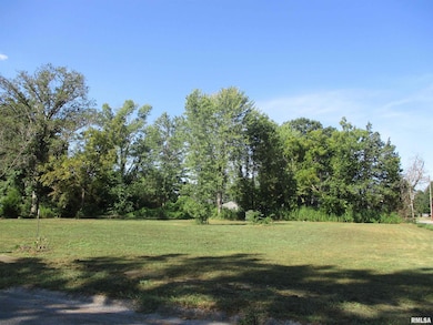 0000 Buchanan St, Benton, IL 62812 - photo 6