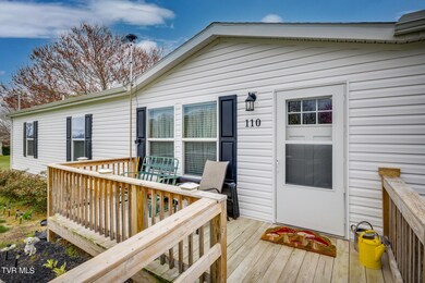 110 Maxine Rd, Fall Branch, TN 37656 - photo 4