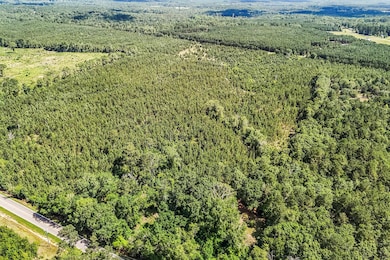 08-DJI_20250617105818_0302_D