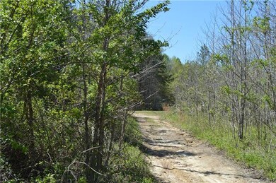 8581 Haydens Way, Concord, NC 28025 - photo 4