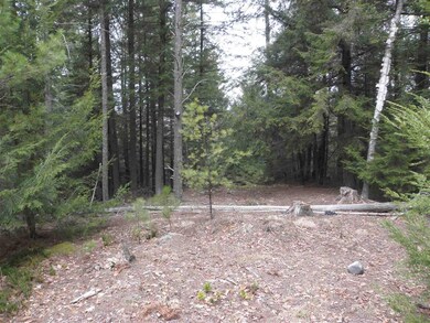 28 Champagne Cir, Campton, NH 03223 - photo 5