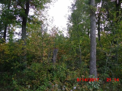 0 Perida Rd, Webster, WI 54893 - photo 6