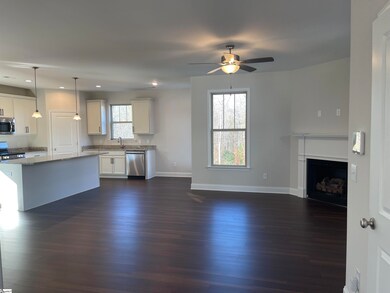 508 River Trace Loop, Simpsonville, SC 29680 - photo 3