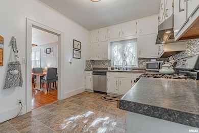 110 S Garden St, Mount Pulaski, IL 62548 - photo 7