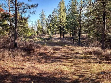 TBD Olinger (Hammer) Rd, Springdale, WA 99173 - photo 3